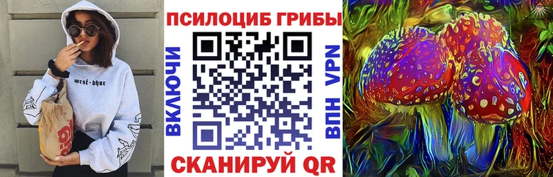 цены Орёл Галлюциногенные грибы Psilocybine cubensis