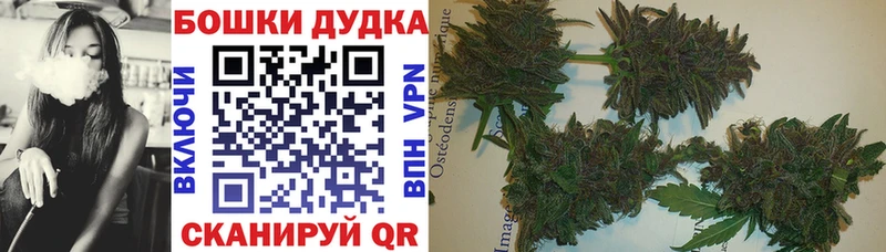 купить наркотик  Орёл  Каннабис Amnesia 